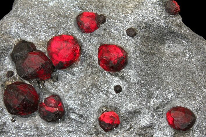 Plate of Eighteen Red Embers Garnets in Graphite - Massachusetts #127804